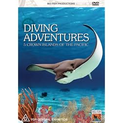 Diving Adventures