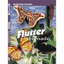 Flutter Serenade