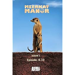 Meerkat Manor Season 3 - Episode: 8-10