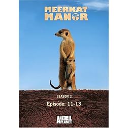 Meerkat Manor Season 3 - Episode: 11-13
