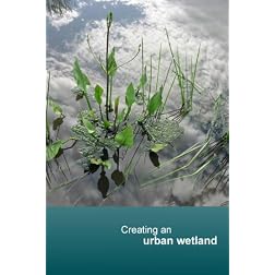 Creating an urban wetland (PAL)