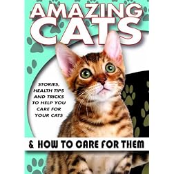 Amazing Cats