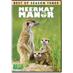 Meerkat Manor: The Best of Season 3