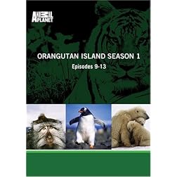 Orangutan Island Season 1 - Episodes 9-13