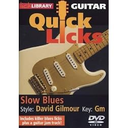 Quick Licks for Guitar
