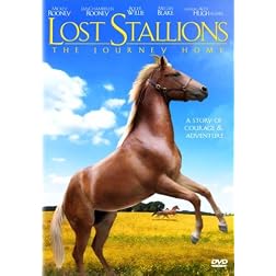 Lost Stallions: The Journey Home