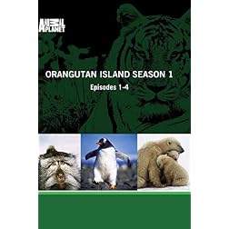 Orangutan Island Season 1 - Episodes 1-4