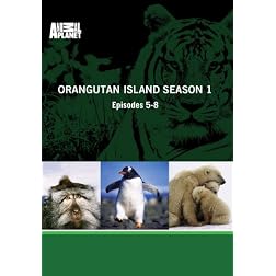 Orangutan Island Season 1 - Episodes 5-8