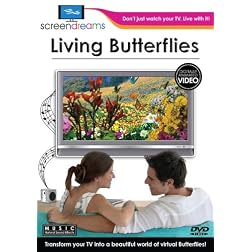 Screen Dreams:Living Butterflies