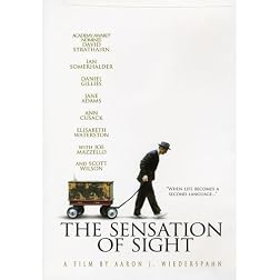 The Sensation of Sight