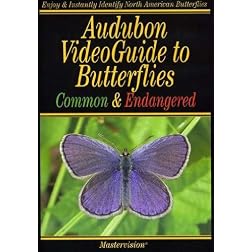 Audubon: VideoGuide to Butterflies Common and Endangered