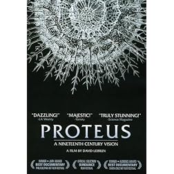 Proteus