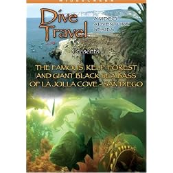 Dive Travel The Famous Kelp Forest and Giant Sea Bass La Jolla, San Diego, CA