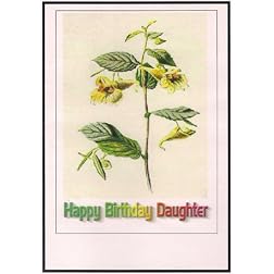 The Klansman Widescreen TV: Greeting Card: happy Birthday daughter