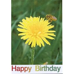 My Pal Trigger: Greeting Card: Happy Birthday Daughter