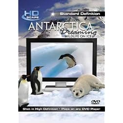 Antarctica Dreaming: Wildlife on Ice (Dol)