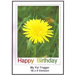 My Pal Trigger: Greeting Card: Happy Birthday Daughter