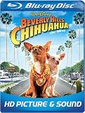 Get Beverly Hills Chihuahua On Blu-Ray