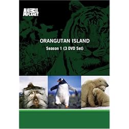 Orangutan Island Season 1 (3 DVD Set)