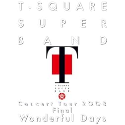 Concert Tour 2008-Wonderful Days
