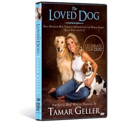 The Loved Dog With Tamar Geller
