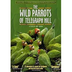 The Wild Parrots of Telegraph Hill (Special Two-Disc Collector's Edition)