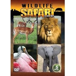 Wildlife Safari