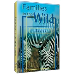 Just the Facts: Families in the Wild - Zebras