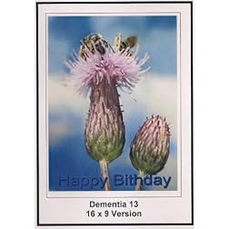 Dementia 13: 16x9 Widescreen Television.
