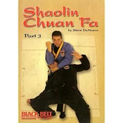 Shaolin Chuan Fa Fighting Vol. 3 with Steve DeMasco