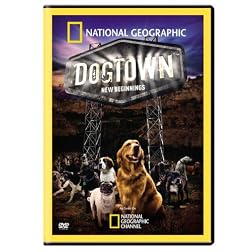 Dogtown: New Beginnings