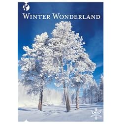 Winter Wonderland