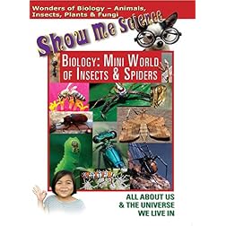 Biology: Mini World of Insects and Spiders