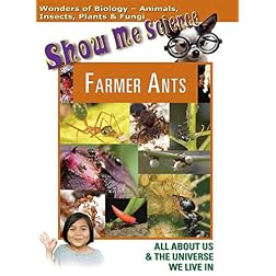 Farmer Ants