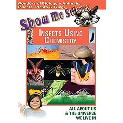 Insects Using Chemistry