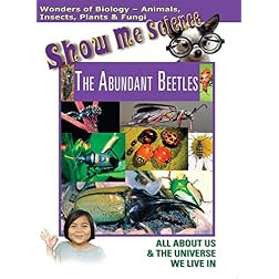 The Abundant Beetles