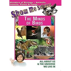 The Minds of Birds
