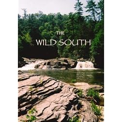 The Wild South