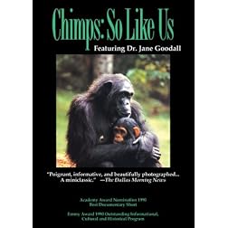 Chimps: So Like Us
