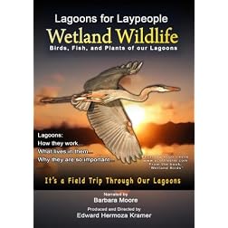Lagoons for Laypeople - Wetland Wildlife