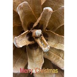 Our Gang Follies of 1938: 16x9 Widescreen TV.: Greeting Card:merry Christmas