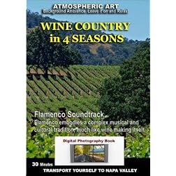 Wine Country in Four Seasons Atmospheric Art