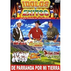 Idolos y Exitos, Vol. 1