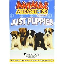 Aimal Attractions Television: Just Puppies