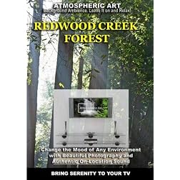 The Redwood Creek Forest