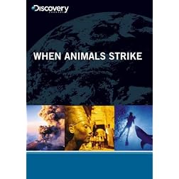 When Animals Strike