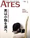 ATES (アテス) 2009年 01月号 [雑誌]