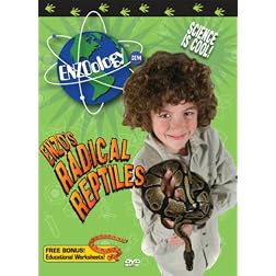 Enzoology Radical Reptiles