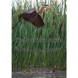 "The Northern Marsh, At Home in the Shallows"