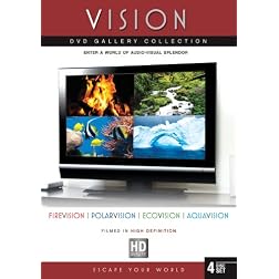 Vision Gallery Collection